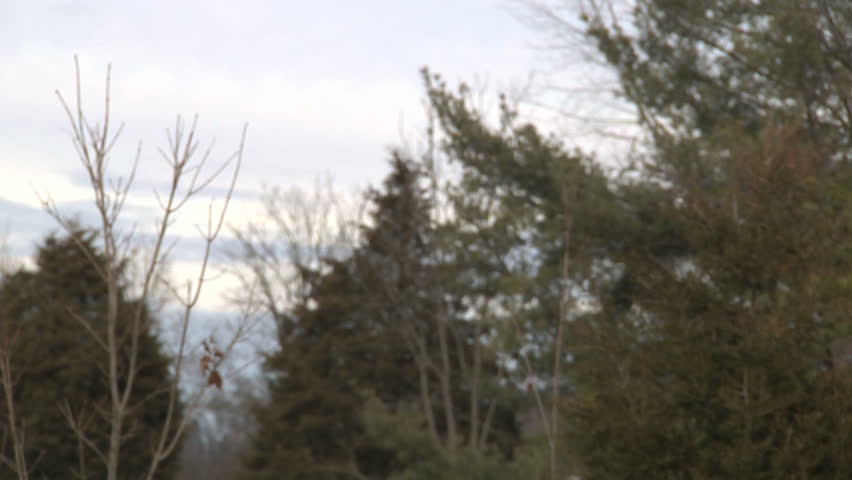 Man in bandanna shooting semi-automatic weapon
