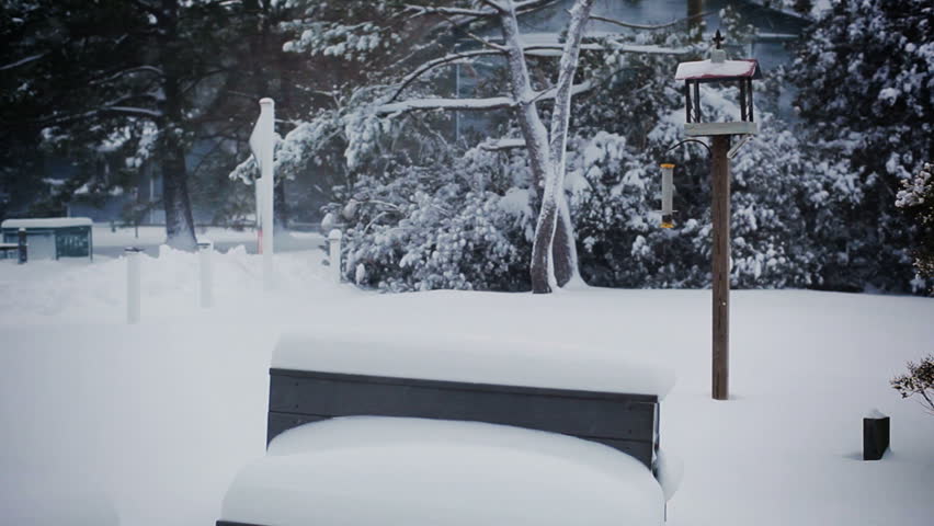 A bird feeder in a blizzard