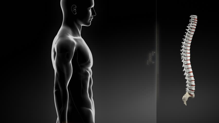 Human spine pain concept