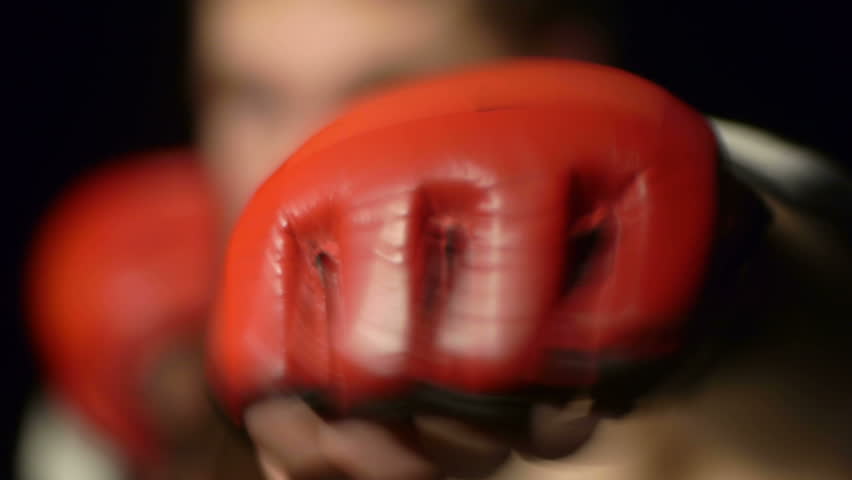 Boxer