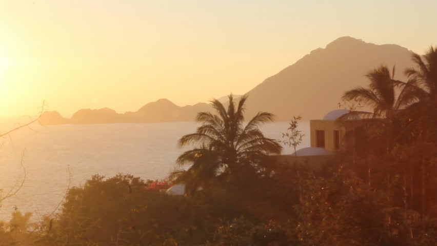Tropical villa and palm trees silhouetted against a sunset with birds flying by