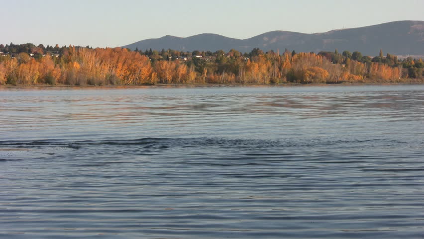 The Columbia River in autumn. Birds fly through the scene and dip into the water.