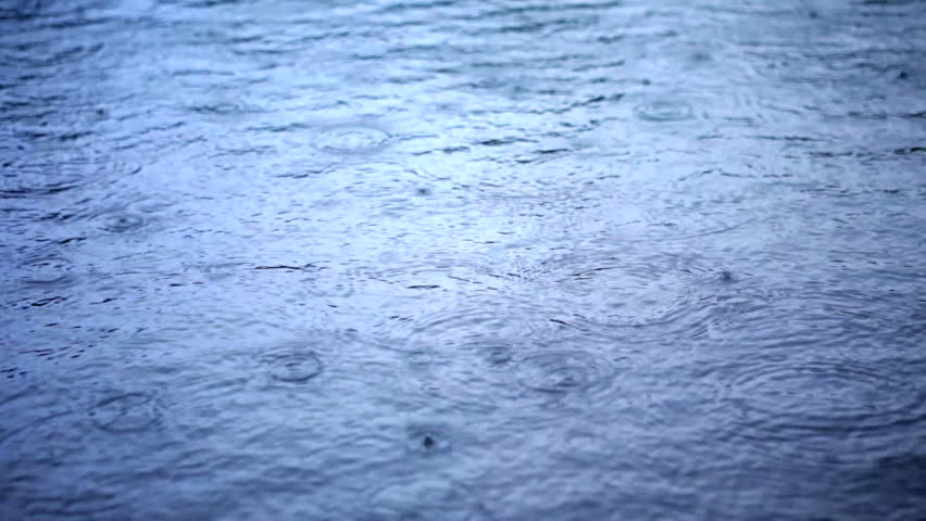 Rain falling into a puddle