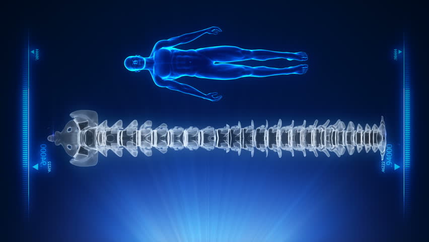 Human spine blue projection in loop
