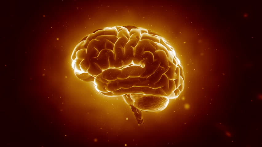 Big Strong Brain pulsing