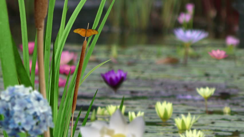 Stylish Nature Scenes
