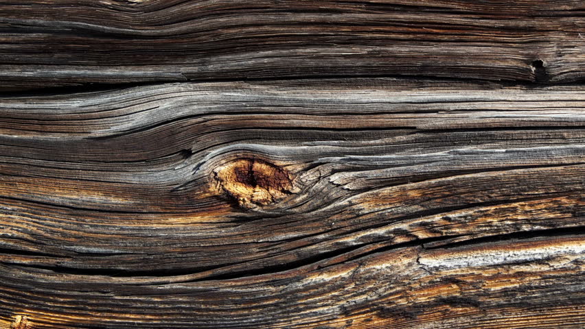 Wooden panel
