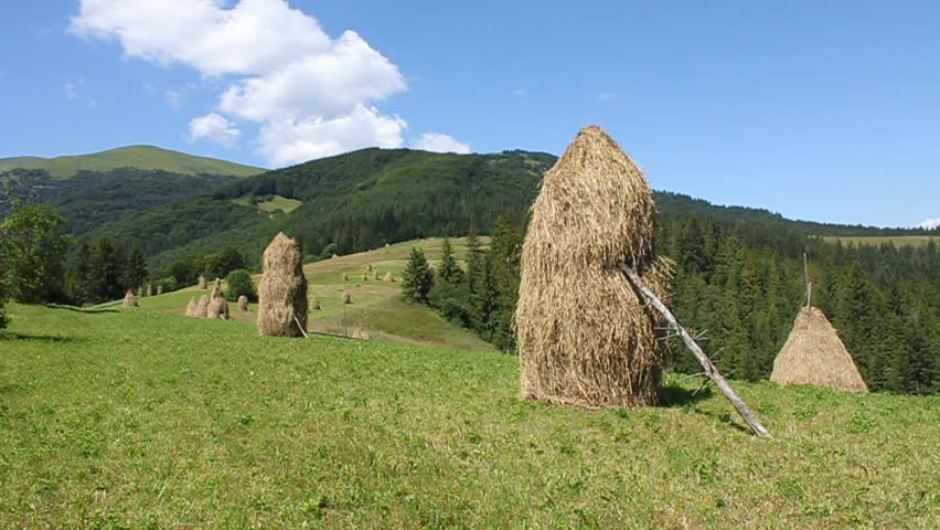 Summery Carpathians