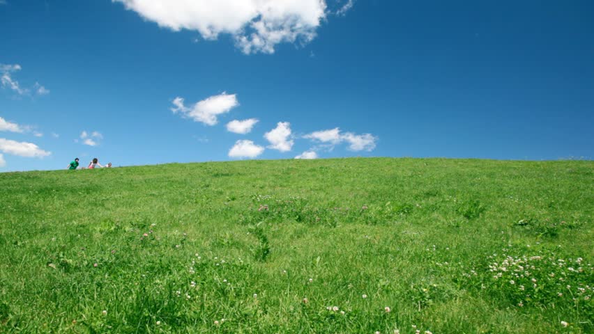 happy family run on meadow with green grass and wildflowers 
