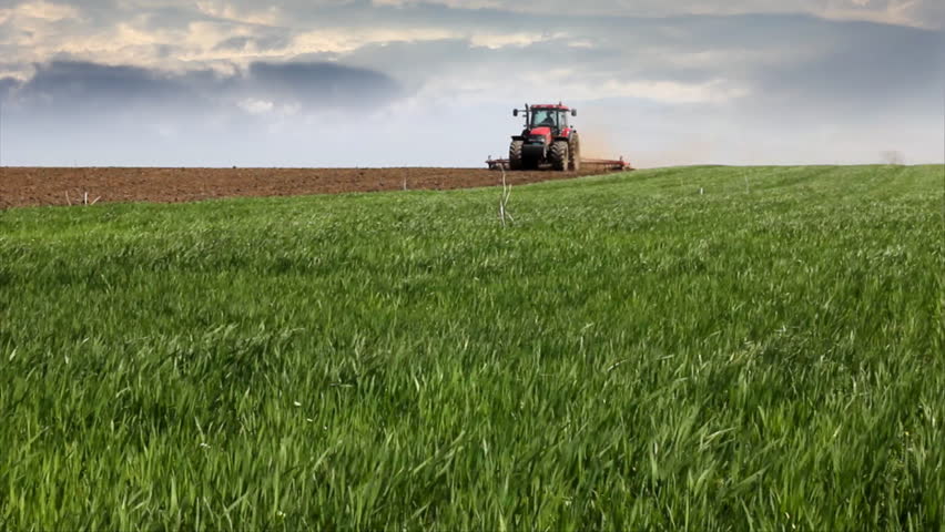 Wheat field and Tractor