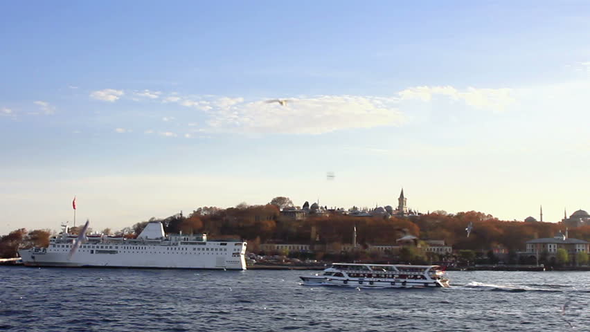 Istanbul Seagulls in front of Topkapi Palace