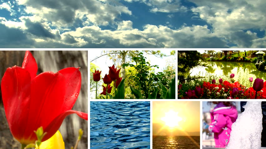 multi-screen nature montage
