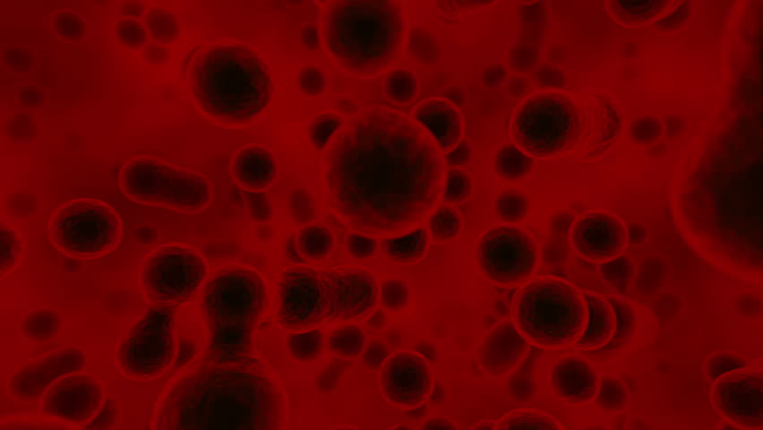 3D rendered animation: flight through microscopic cellular ambient