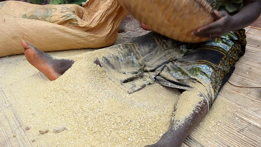 African maize sieve 