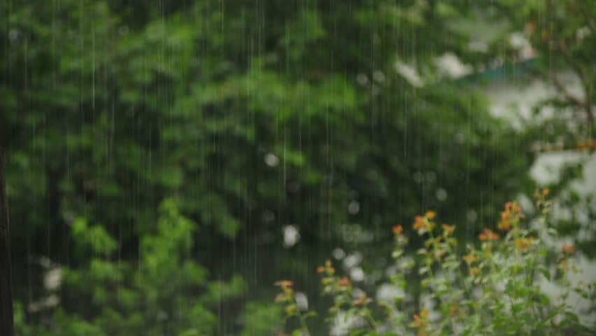 Spring rain with thunder