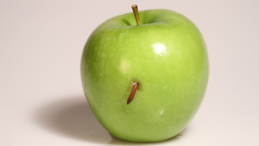 worm in the apple