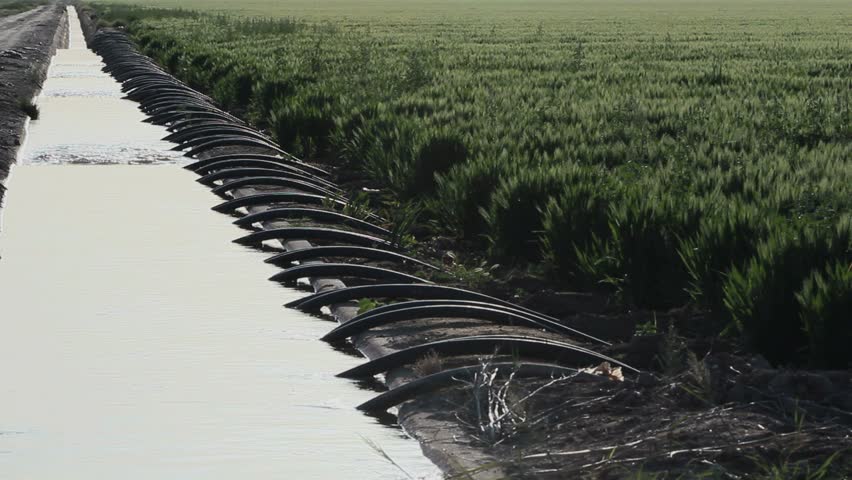 Field irrigation system nourishes growing farm crops through water canal that glistens, like a mirror, in late afternoon sun. 1080p