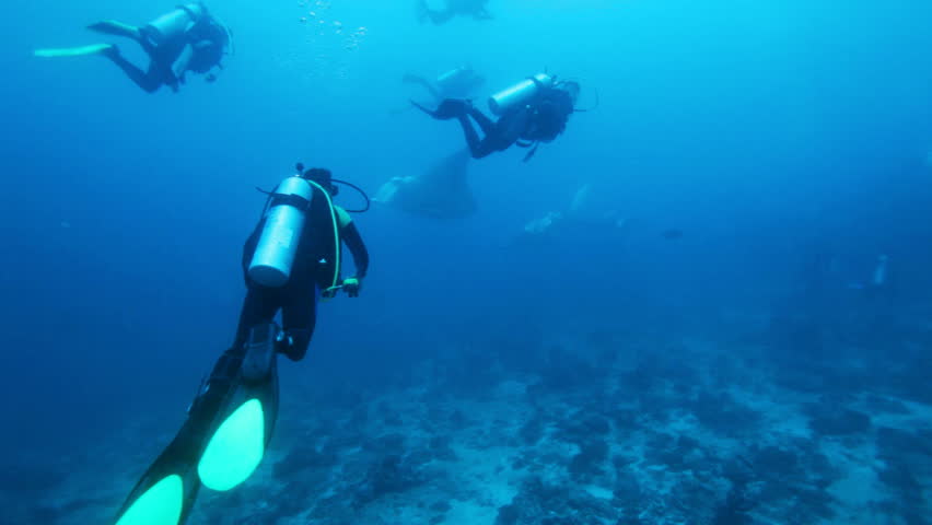 Divers meet mantas on Ari-Atoll manta point, Maldives