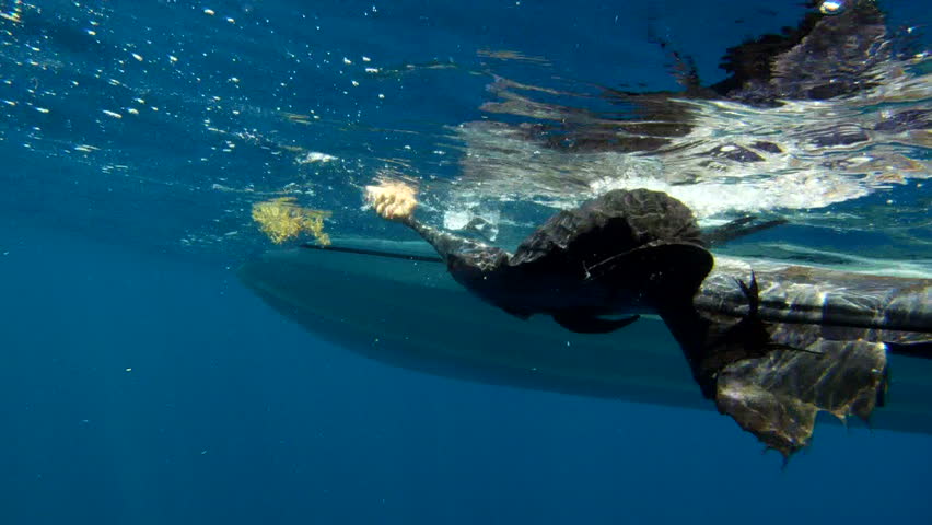 Sailfish Revive
