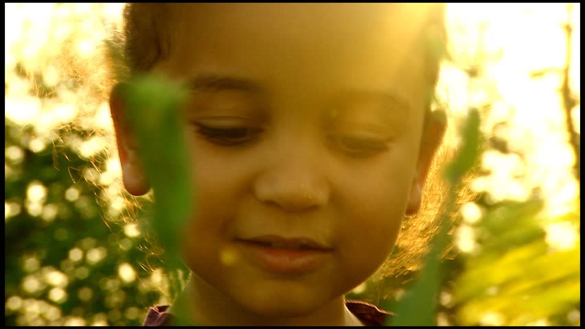 Beautiful girl in summer field of flowers