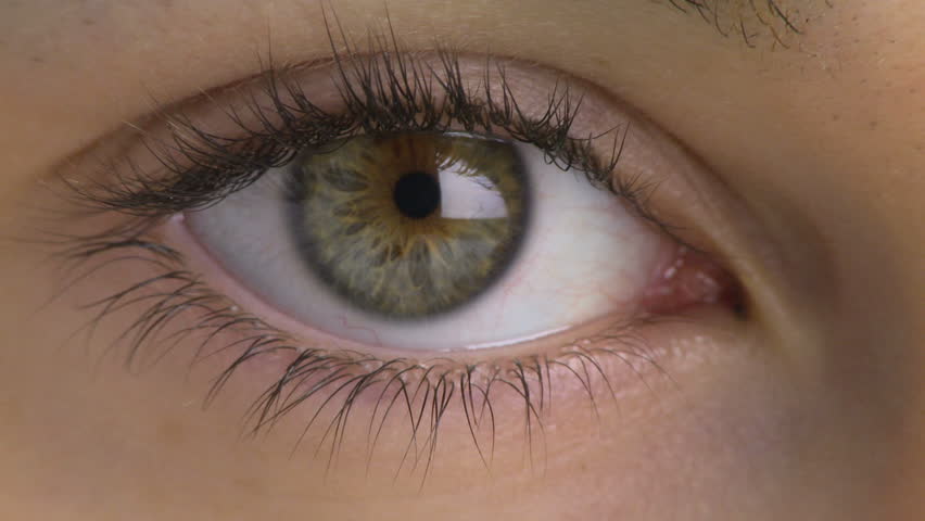 Close-up of woman's eye