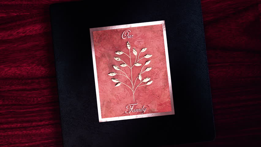 Tell your story with this Family tree (our family) leather album that opens and closes with a green screen to insert your picture or footage