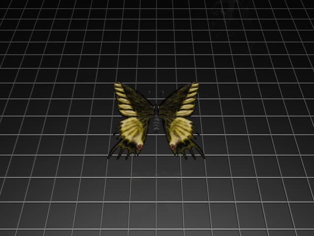 flying butterfly soul