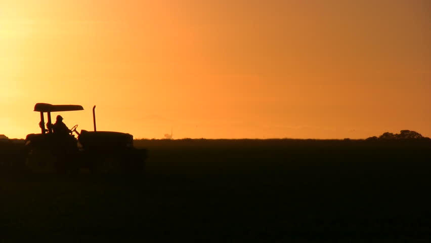 A tractor rolling across a farm at sunset.