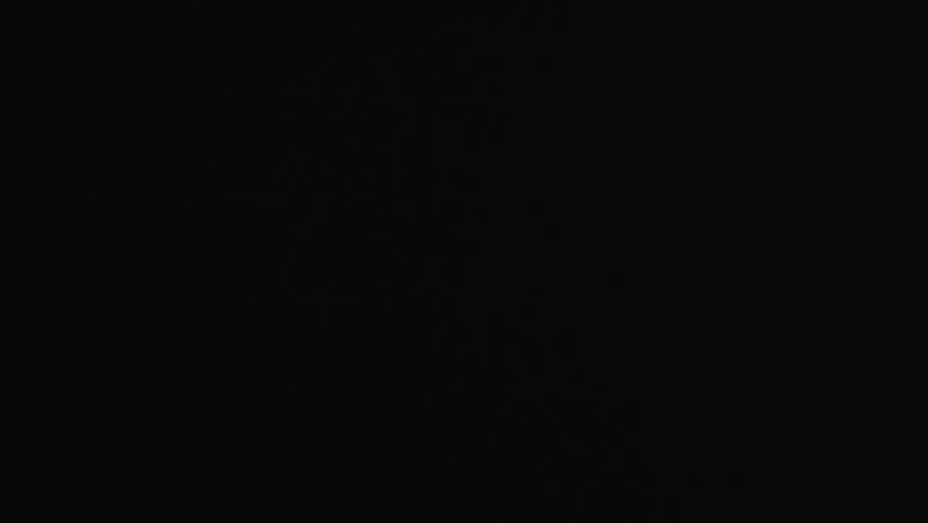 Slow motion of fresh shrimp.  Perfect for restaurant commercial usage