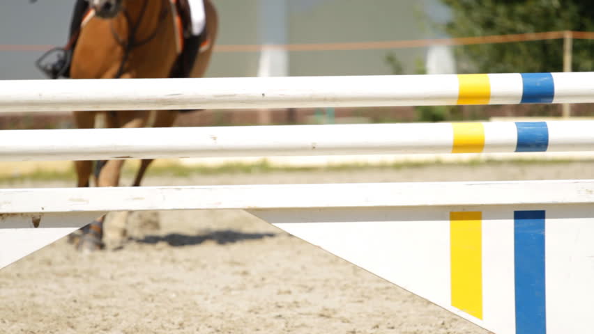 equestrian show jumping