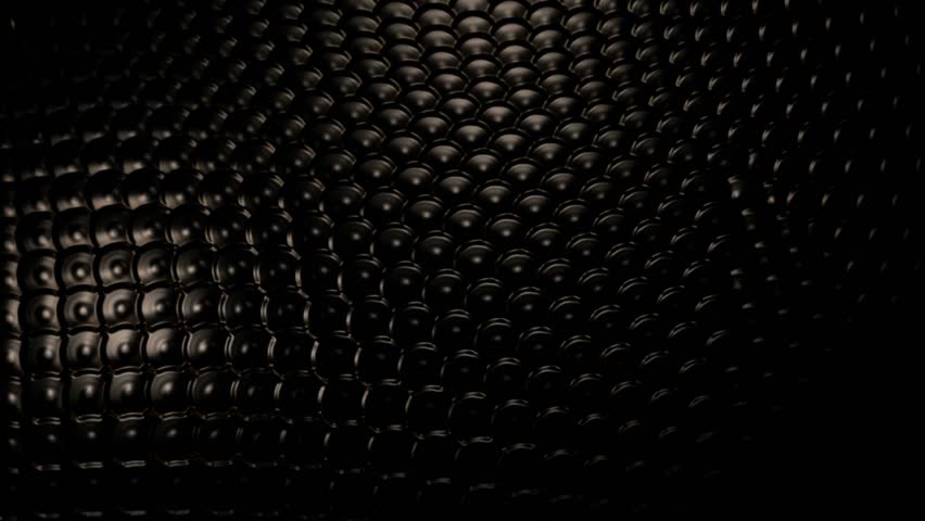 Elegant background - Snake skin