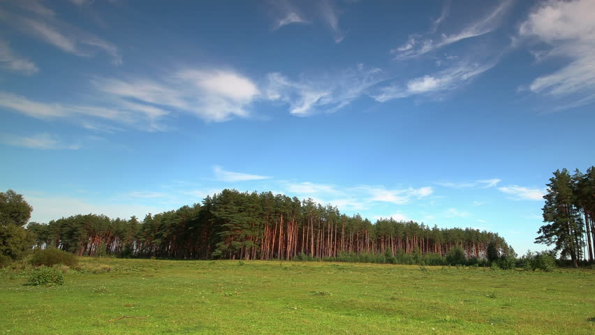 timelapse pasture and forest. Putivl, Ukraine. 