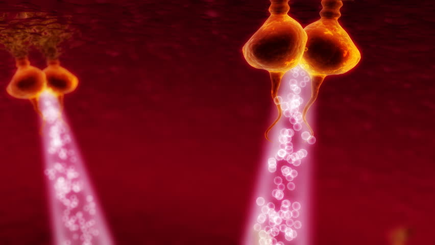 3d visualization of her3 type receptors reacting with cell nucleus