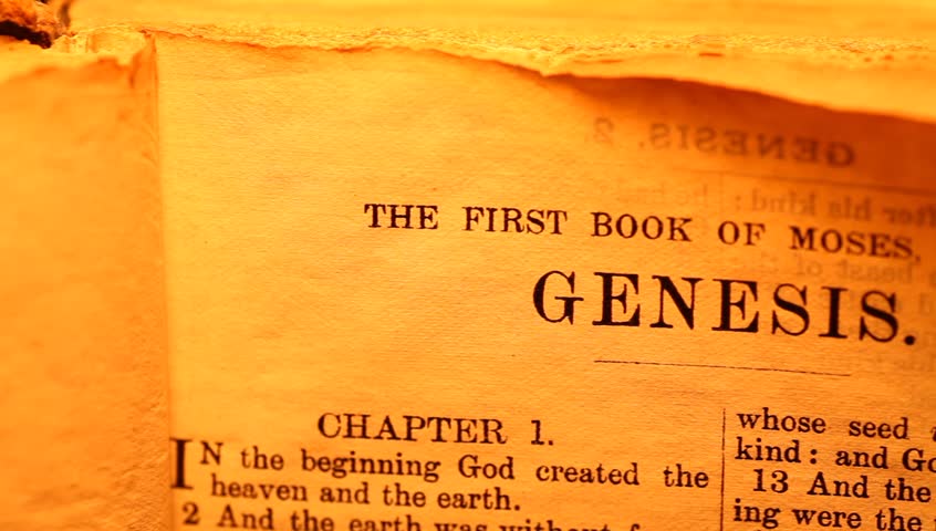 Holy Bible
