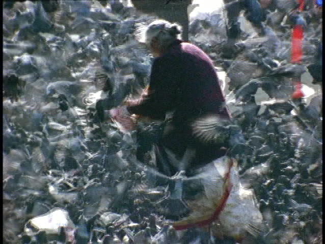 A woman feeds pigeons amidst a torrent of birds.