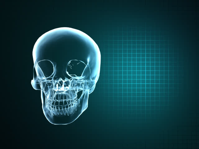 X-Ray Skull and Heart Monitor PAL