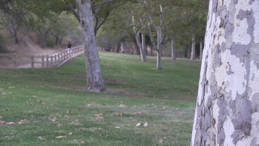 This is a calm park scene with a jogger and walker slightly blurred in the background.