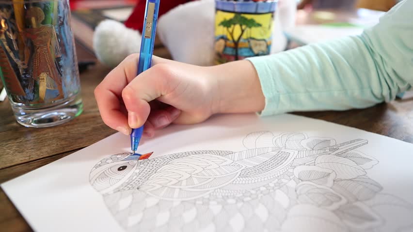 122615 lamy new mexico 9 year old girl drawing in coloring book stock footage video 14465224 shutterstock - Coloring For 12 Year Olds 122615 lamy new mexico 9 year old girl drawing in coloring book stock footage video 14465224 shutterstock - Coloring For 12 Year Olds