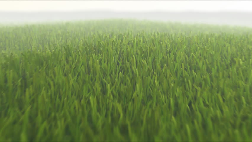 camera flight over fresh spring grass, seamless loop, 3D animation, depth of field, motion blur, HD 1080p TIP: You can speed up 2x or 3x this sequence to achive more impressive effect.