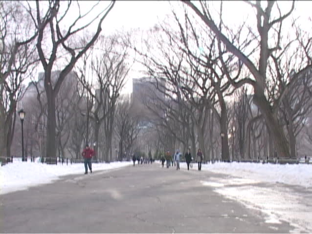 New Yorkers ice skate on a frozen lake in Central Park.