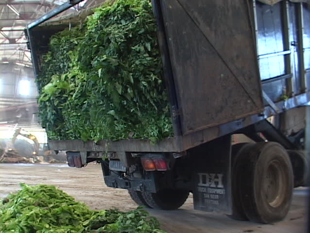 VENTURA, CALIFORNIA - CIRCA 2009: A truck dumps plant debris at a recycling center.