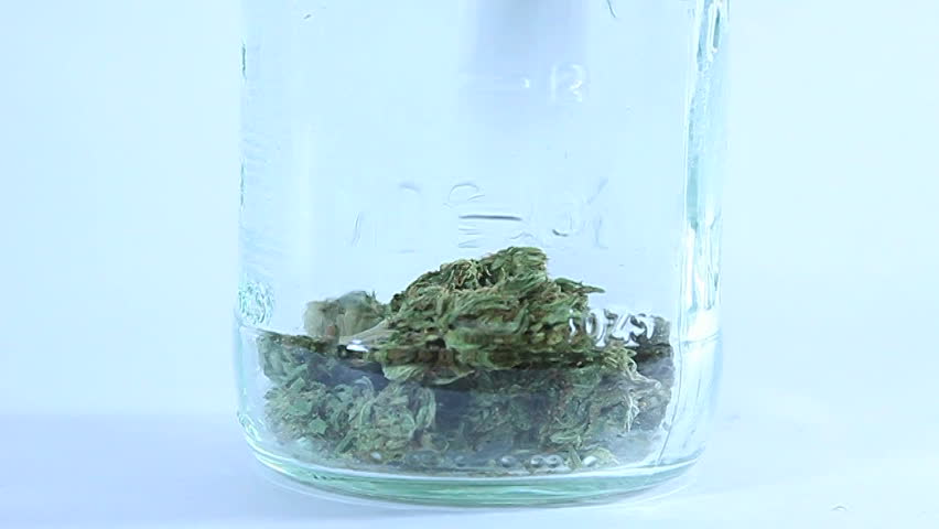 A person drops dried marijuana  buds into a glass jar.