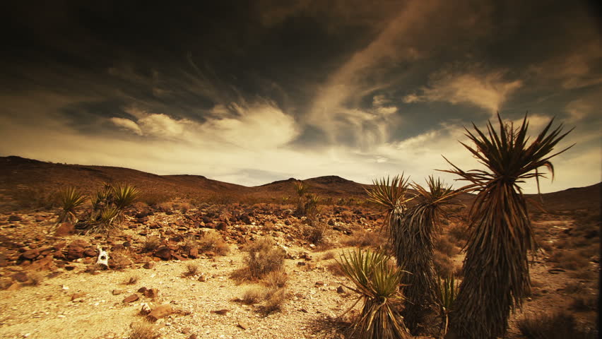 Desert vista at midday