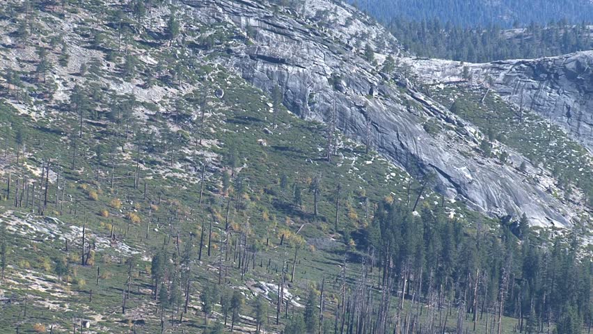 Yosemite National Park, spanning eastern portions of Tuolumne, Mariposa and Madera counties in east central California, "united states".