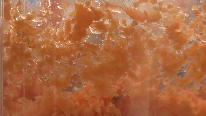 Close up of carrots in a food processor.
