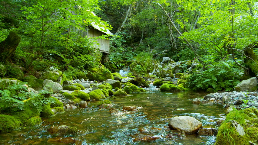 Old mill deep in the woods