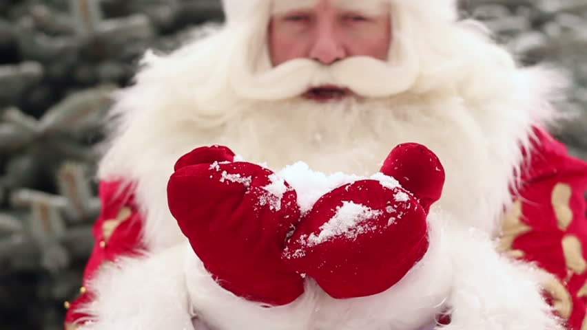 Natural Old Wrinkled Santa Claus standing outdoors in snowy winter against Christmas fir tree and blowing snow from his arms to camera
