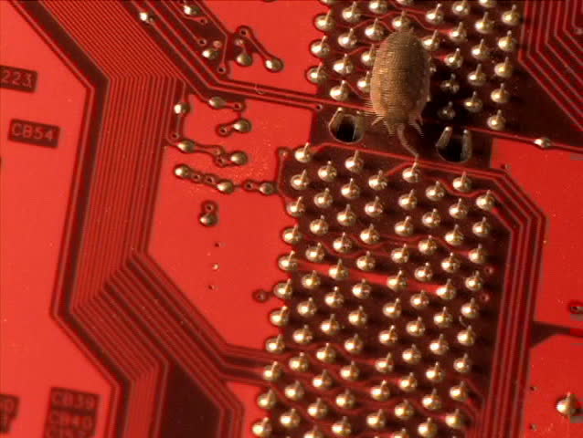 Bug in a circuit