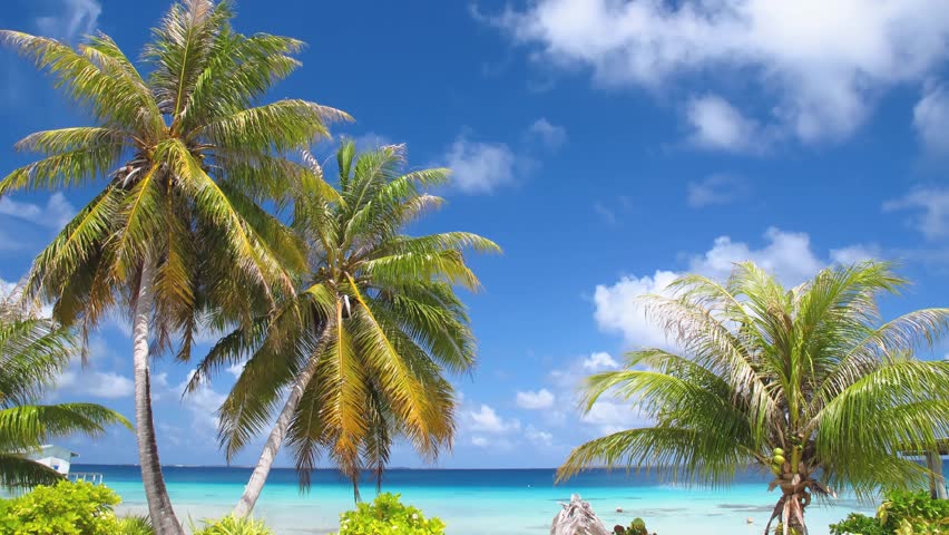 Time Lapse Manihi Lagoon, Tuamotos, French Polynesia 