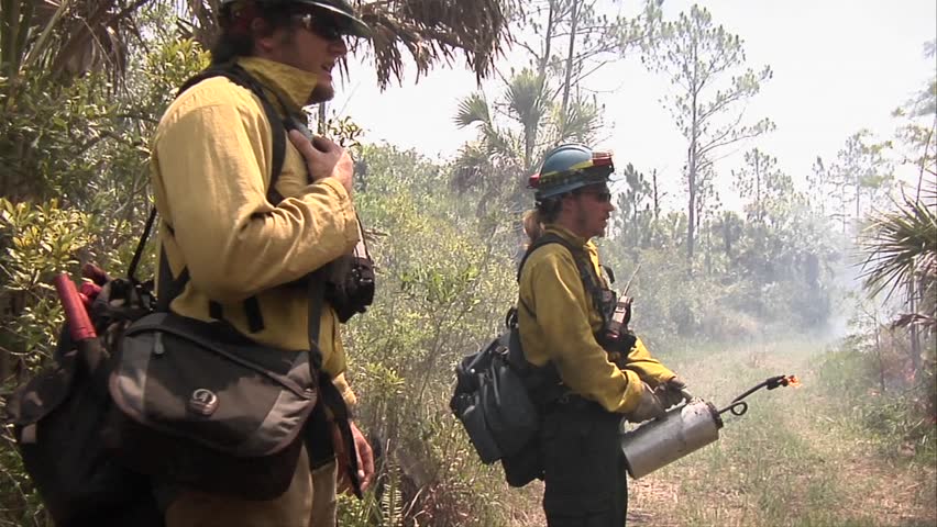 EVERGLADES, FL - CIRCA 2009: Firefighters monitor a prescribed fire circa 2009 in the Everglades.